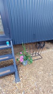 Shepherd's Huts -at- Chawton Park Bungalow - Alton - 8