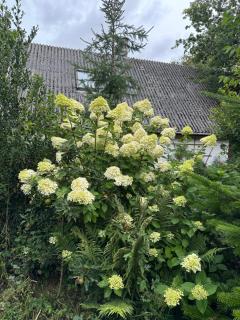 Lille Degnbøl - Degnbøl - 6