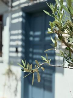 Sky House Old Town Xanthi - menohomes 9 - Xánthi - 0