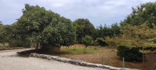 Costa A Mariña - 9