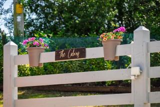 Luxury Log Cabin with Private Hot Tub & Sea Views - Letterkenny - 7