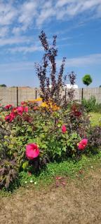 Makeeda Camping - Vama Veche - 4