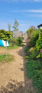 Makeeda Camping - Vama Veche - 5