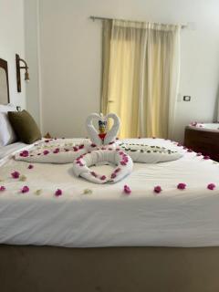 Are Pyramids VIEW Hotel - Le Caire - 9