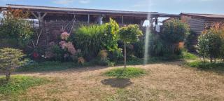 Makeeda Camping - Vama Veche - 7