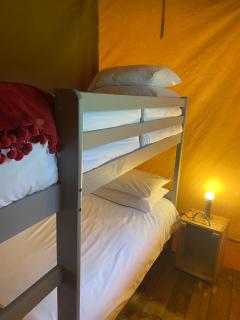 Cefn Crib Safari Tent - Machynlleth - 3