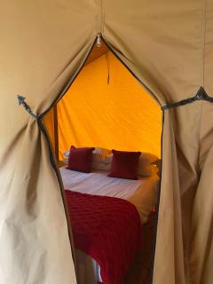 Cefn Crib Safari Tent - Machynlleth - 4