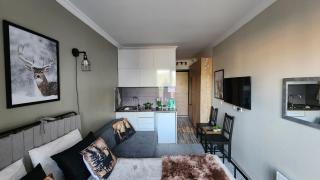 Ski In Ski Out Tiamo apartment 402 at Gudauri Loft Hotel - 3