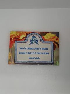 casa mirador de san miguel - 9