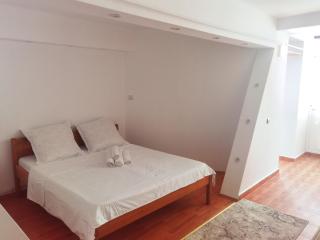 Garsonieră central Tg Jiu - Târgu Jiu - 5