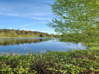 4 person holiday home in Toftlund - 1