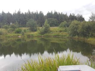 4 person holiday home in Toftlund - 3