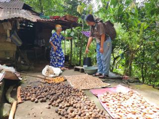 Mila Homestay - Padang - 2