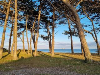 6 person holiday home in Knebel - 7