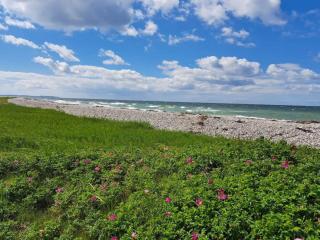 6 person holiday home in Knebel - 6