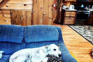 2 Mi to Marina and Beach Frye Island Retreat! - - 3