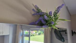 The Yoke B&B and Self-Catering Accommodation Laois - Ballybrittas - 3
