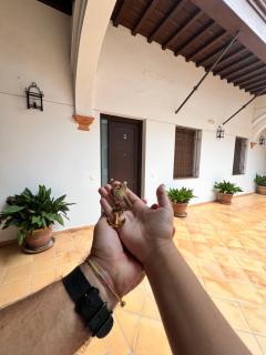 Apartamento Ancla - Sanlúcar de Barrameda - 0