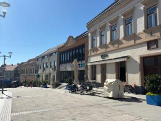 FURMINT Apartman - 5