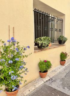 La Cachette d'Antibes - 9