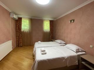 Villa Baqs in Racha - 6