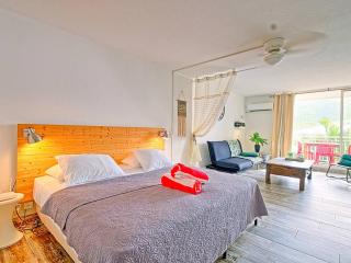Studio "Cherry" à Mont Vernon - Confort, Piscine et Proximité Plage à Marigot, St Martin - FR-1-734-22 - 5