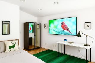 Enchanting Private Hollywood Hills Guest House with Tranquil Tree-Top Views, Magical Outdoor Living Room and Patio and Zen Garden, In LA's Most Desirable, Central, Serene Area and Only 2 Minutes from Hollywood Boulevard - 2