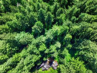 Forrest Lodge Large Private Luxury w Hot Tub - Rhododendron - 8