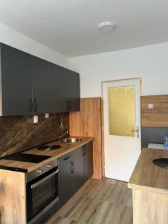 Apartman Boža 2 - Kuršumlija - 4