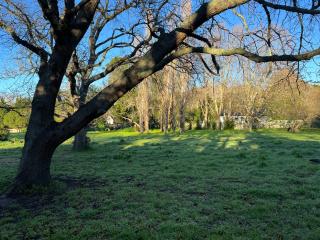 Charming Flatlet in Constantia - 3