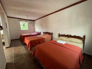 Hotel Campestre - Xpujil - 3