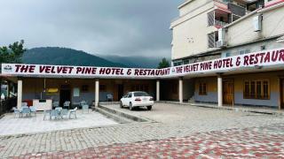 Velvet Pine - Abbottabad - 0