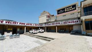 Velvet Pine - Abbottabad - 7