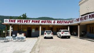 Velvet Pine - Abbottabad - 5