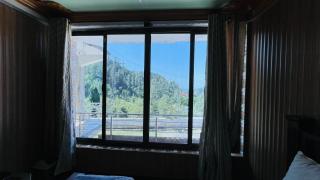Velvet Pine - Abbottabad - 1