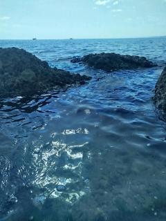 DANTE Apartments - 1