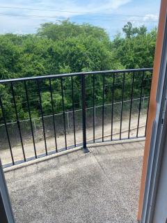 Casitas Las Palmas - Coral Azul - 1