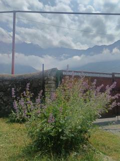 Belas guesthouse - Kazbegi - 8
