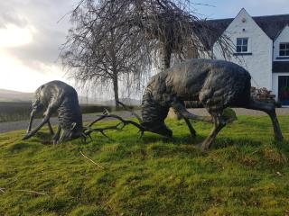 Fordie Lodge - Comrie - 0