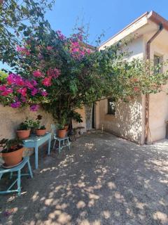 La BouganVille - 1