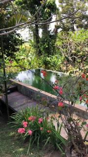 Villa Kecil Seseh beach 2 bedroom villa with pool - 6