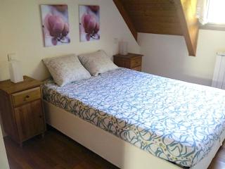 Apartament bonic i amb altell a Esterri by RURAL D'ÀNEU - 3