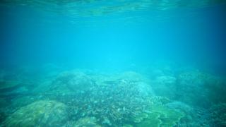 Elsa Homestay - 4
