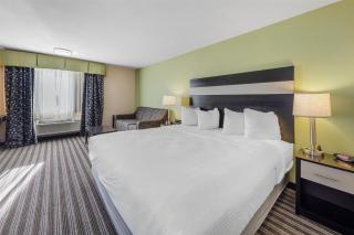 Best Western Borger Inn - 9