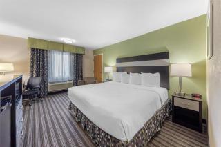 Best Western Borger Inn - 4