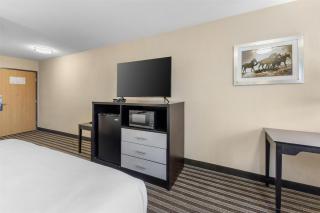 Best Western Borger Inn - 1