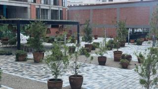 Nuevo Departamento Céntrico con Alberca y Parking - 9