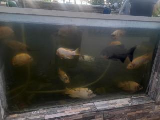 Seaview Hideaway - 8