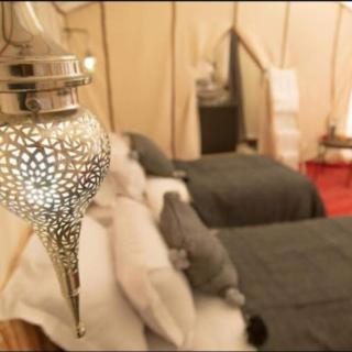 Elegant Luxury Camp - 5