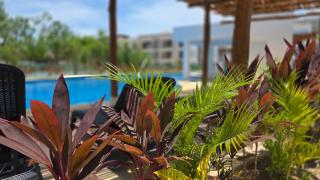 Cozy new apartment 3BR with amazing Pool - 0